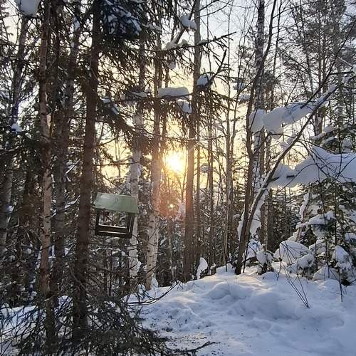 Photo #13186492