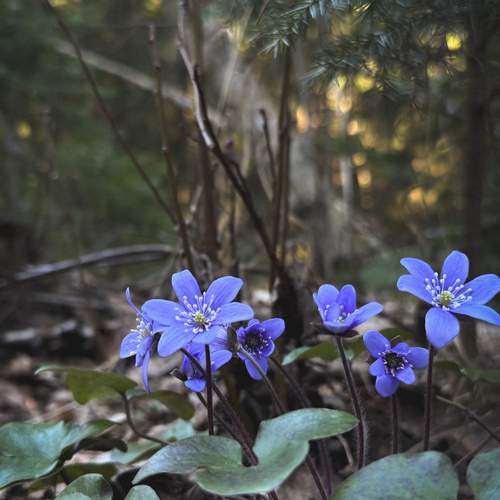 Photo #13186505