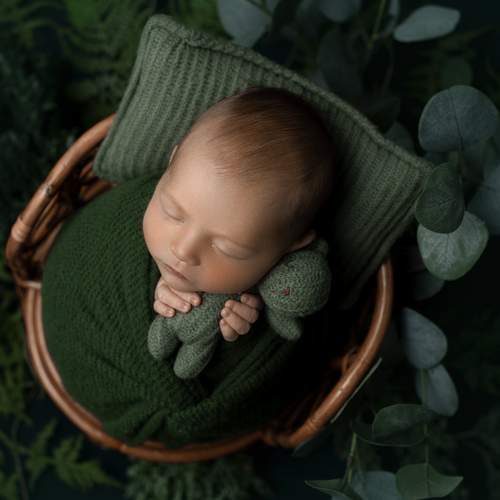 Photo #13186556