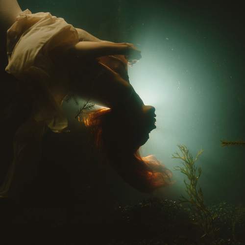 Photo #13186599