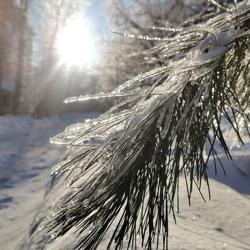 Photo #13186843