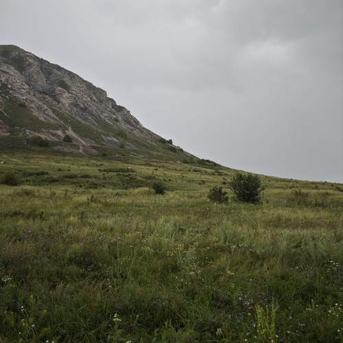 Photo #13186858