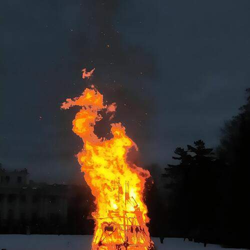 Photo #13187135