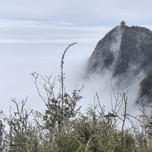 Photo #13187220