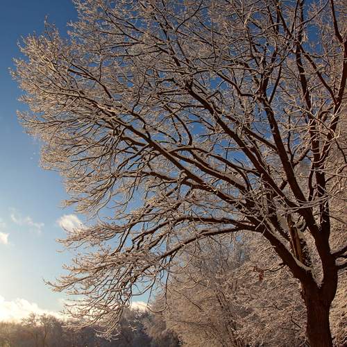 Фотография #13187464