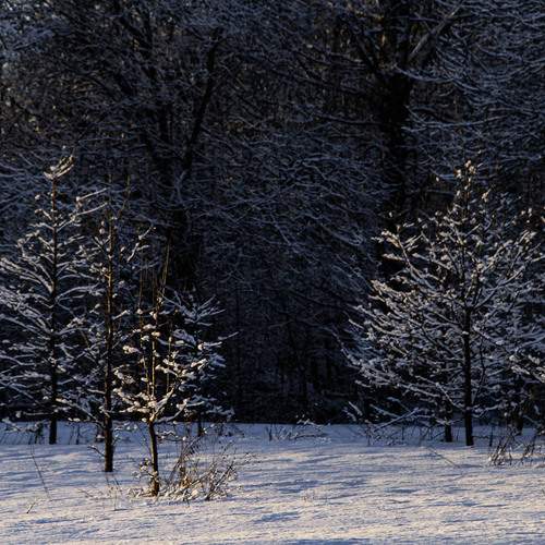 Photo #13187476