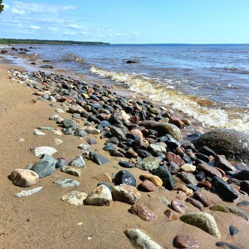 Photo #13187548
