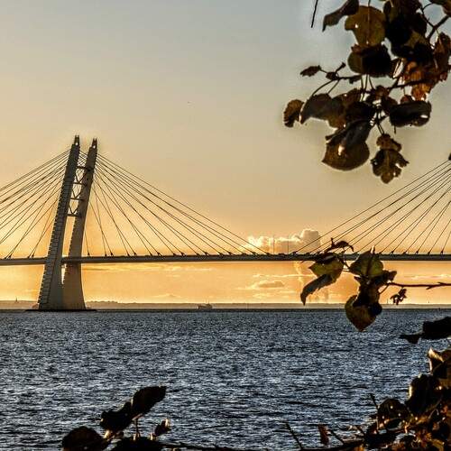 Photo #13187582