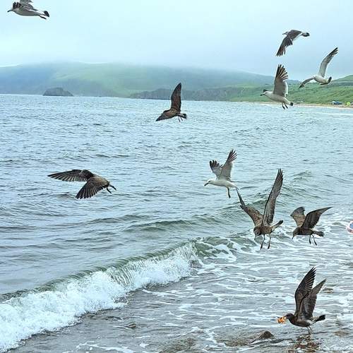 Photo #13187662