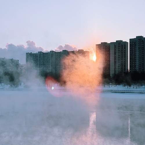 Photo #13187686