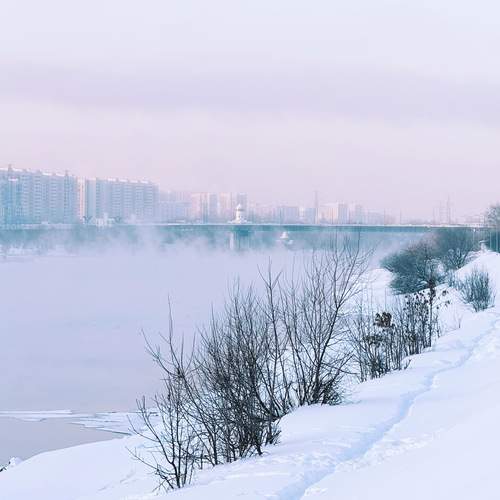 Photo #13187695