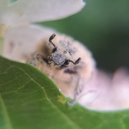 Photo #13187723
