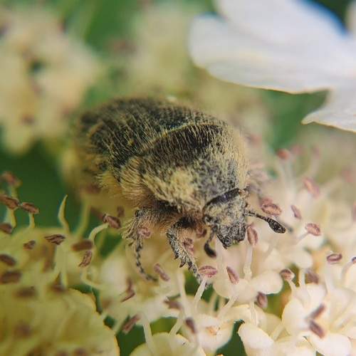 Photo #13187724