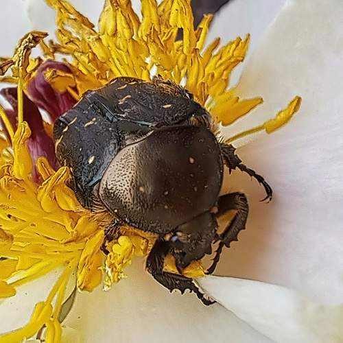 Photo #13187728