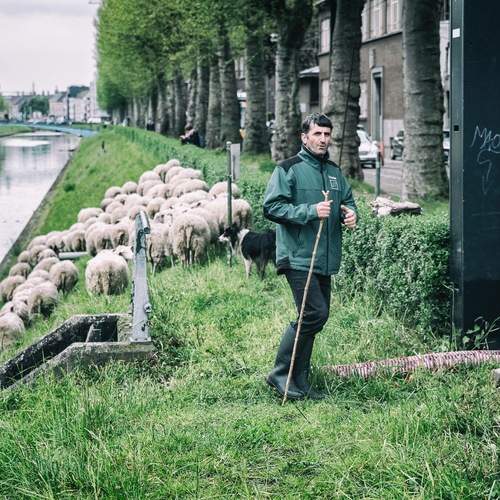Photo #13187740