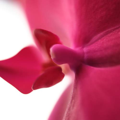 Photo #13187809