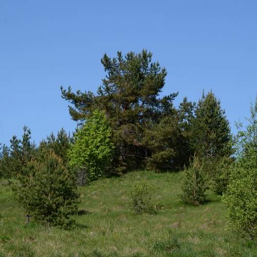 Photo #13187883