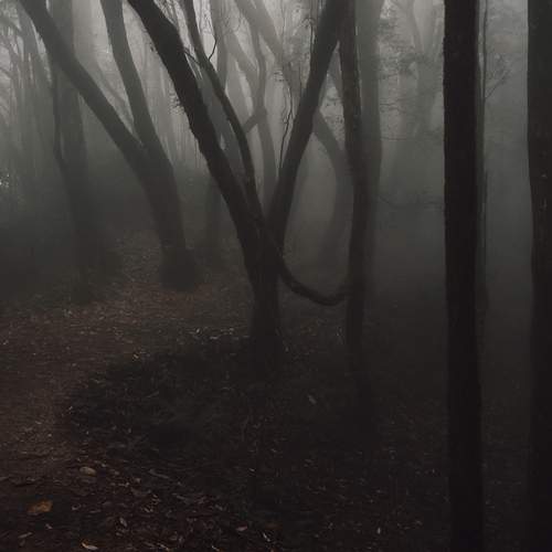 Photo #13188109