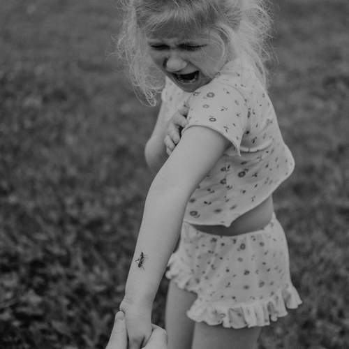 Photo #13188164