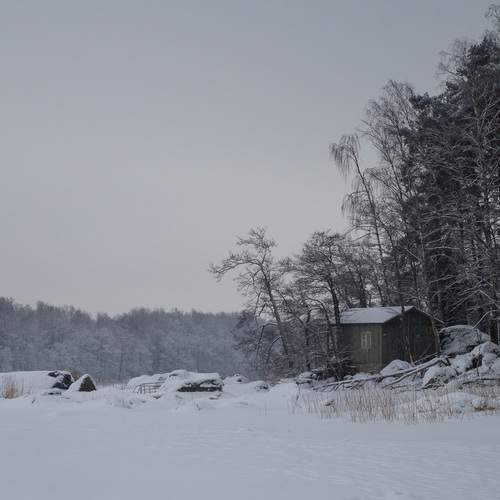 Photo #13188497