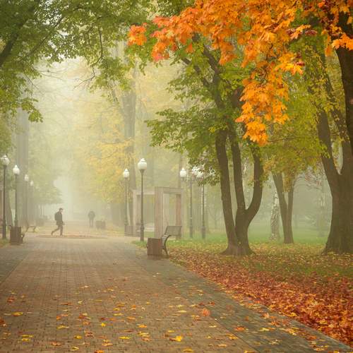 Фотография #13188640