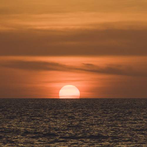 Photo #13188647