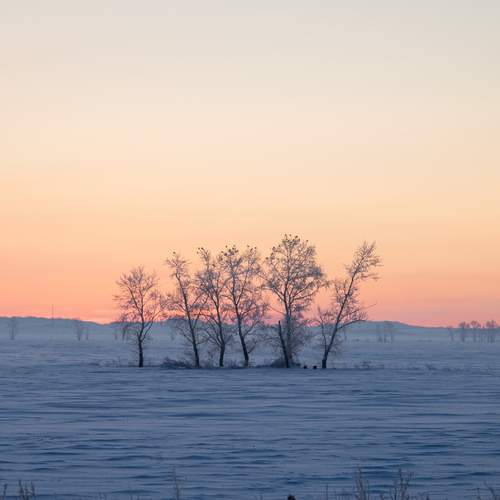 Photo #13188944