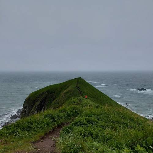 Photo #13188970