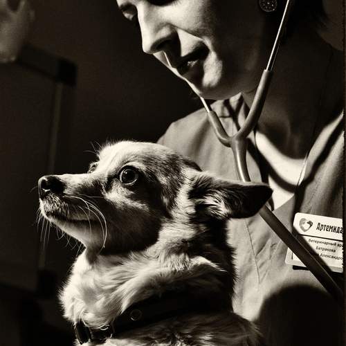 Photo #13188977
