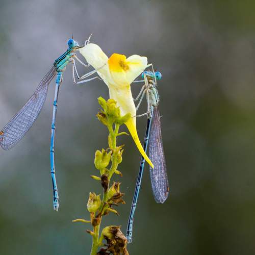 Фотография #13188989