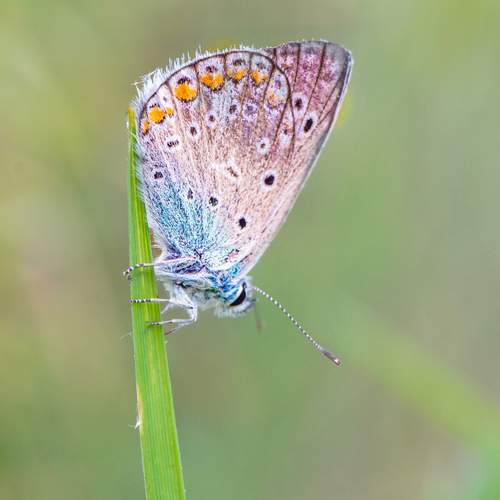 Фотография #13188992