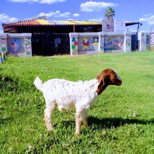 Photo #13189149