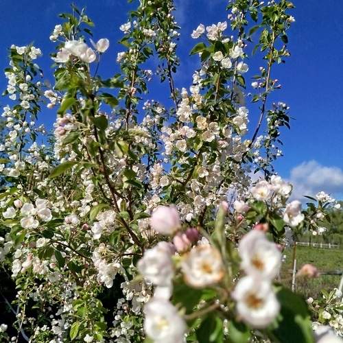 Photo #13189200