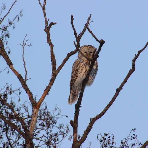 Photo #13189221