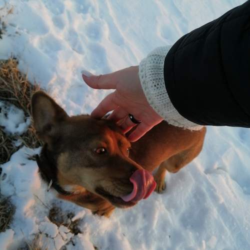 Photo #13189325