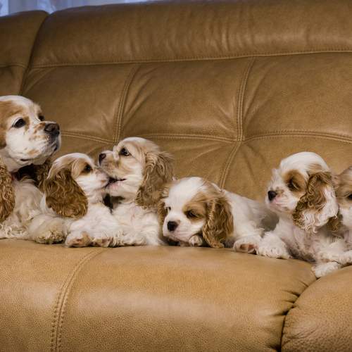 Photo #13189377