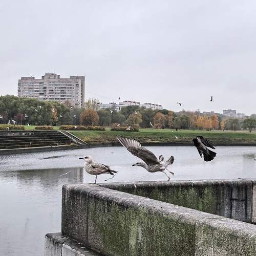 Взлёт