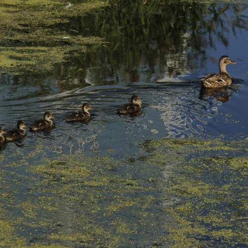 Фотография #13189466