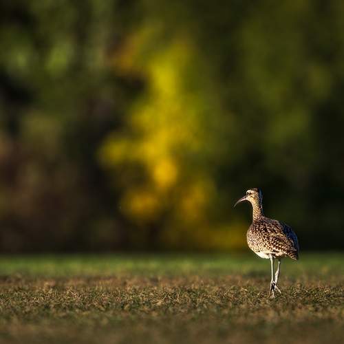 Photo #13189703
