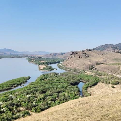 Photo #13189704