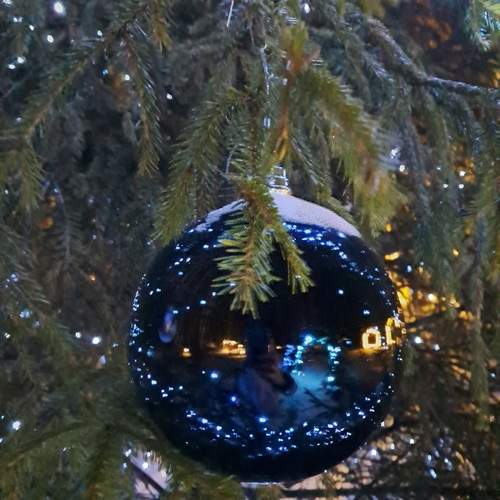Photo #13189710