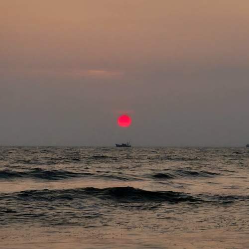 Photo #13189859