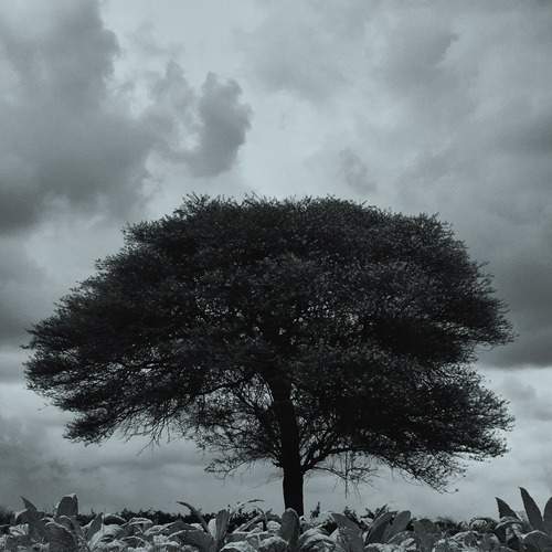Photo #13189861