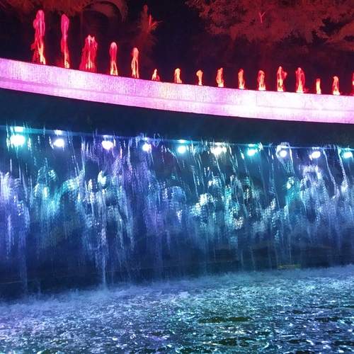 Photo #13190033