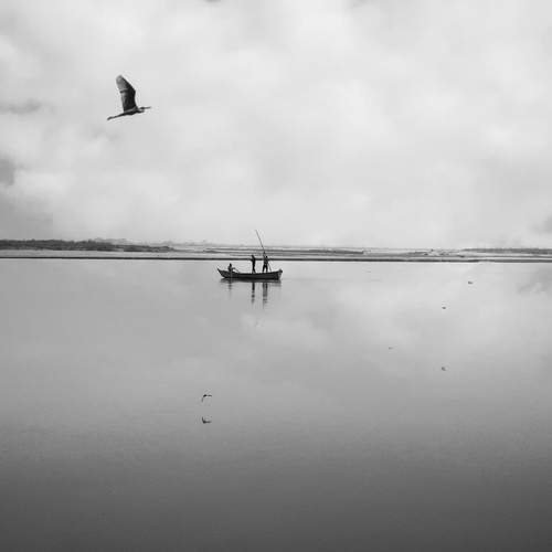 Calmness in river
