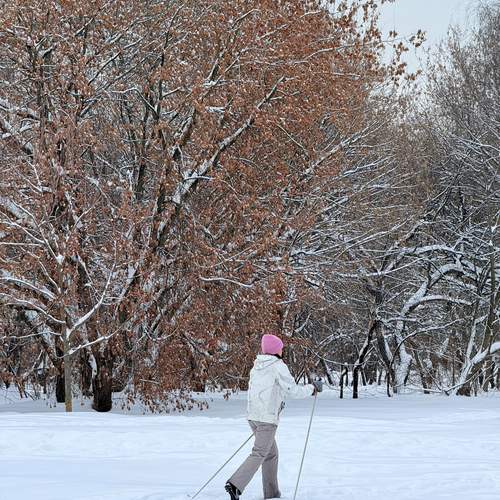 Photo #13190326