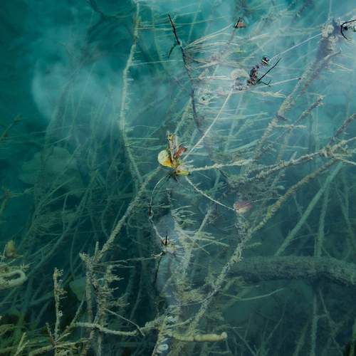 Подводный мир