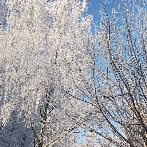 Photo #13190495