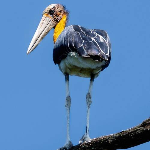 Фотография #13190574