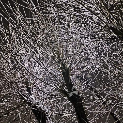 Photo #13190597